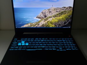 ASUS TUF Gaming A15 Ryzen Gaming Laptop R7-4800H RTX 2060 16G 144Hz 512G SSD 豐澤單