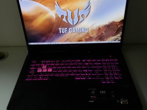 ASUS TUF Gaming Laptop, 17.3" Full HD IPS (AMD Ryzen 5 3550H,16G,512GB GTX 1050)